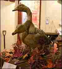 Two-Headed Duck Credit: Joanna Ebenstein Two-Headed Duck Credit: Joanna Ebenstein