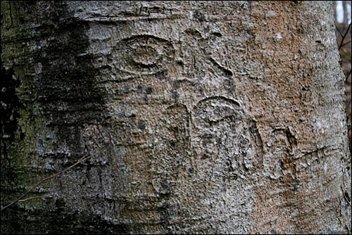 The carved trunk, OK 1902.