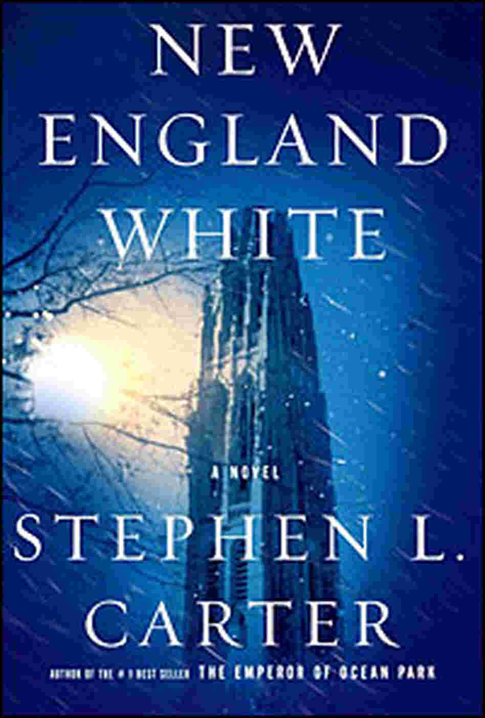 Book Cover 'New England White' Book Cover 'New England White'