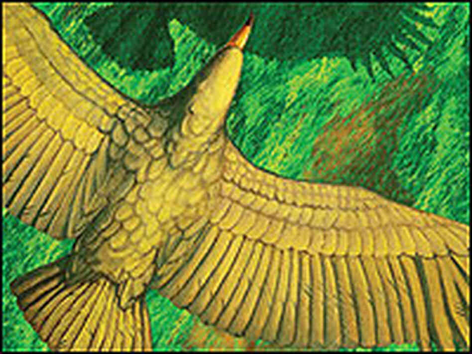 The giant bird.
