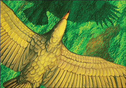The giant bird.