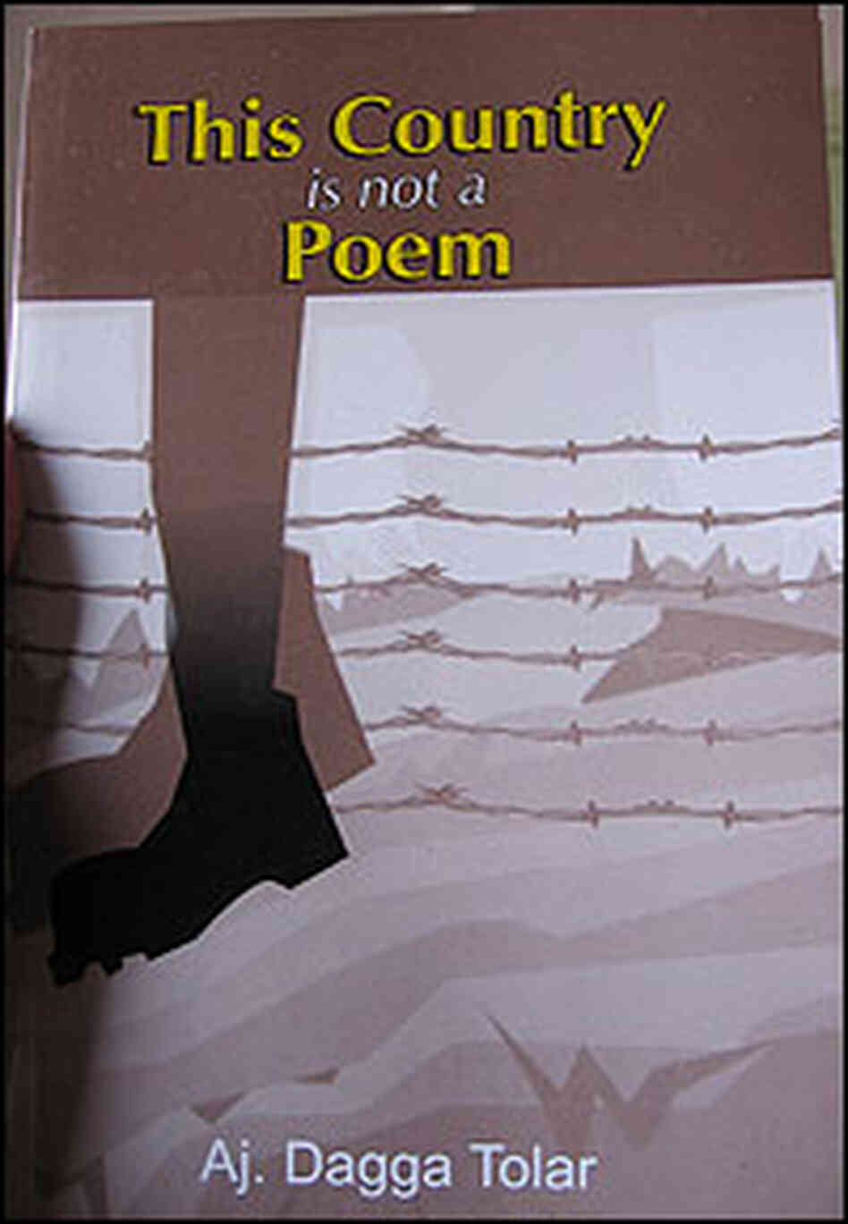 This Country is Not a Poem This Country is Not a Poem