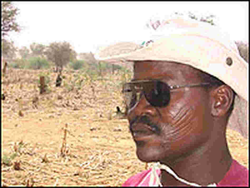 Mahamane Larwanou stands by a cleared field.