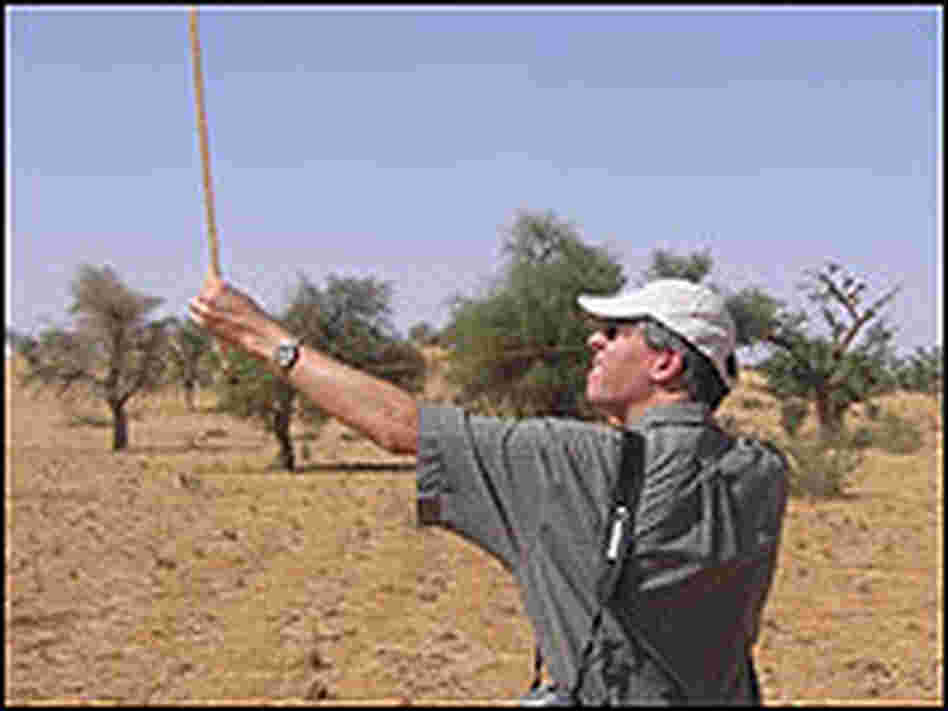 Gray Tappan uses a Biltmore stick.