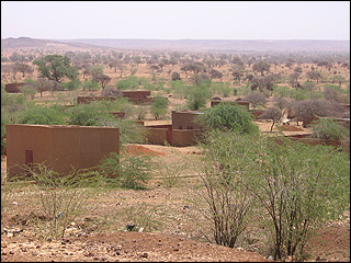 Trees Return to Arid Niger