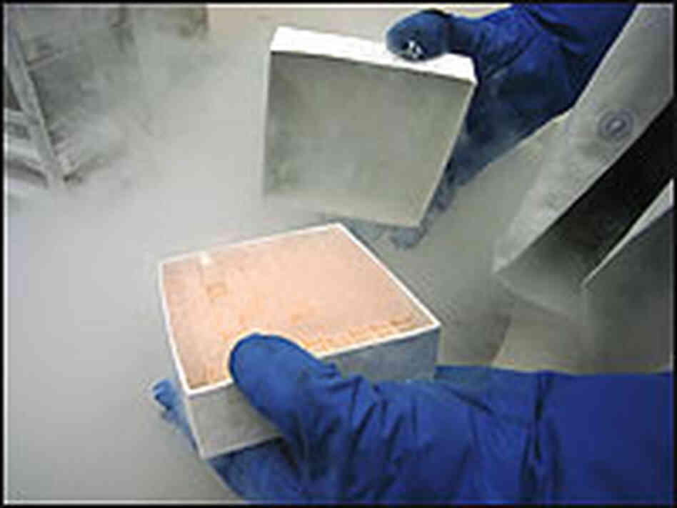A researcher holds a box containing viles of human embryonic stem cell cultures from a freezer. A researcher holds a box containing viles of human embryonic stem cell cultures from a freezer.