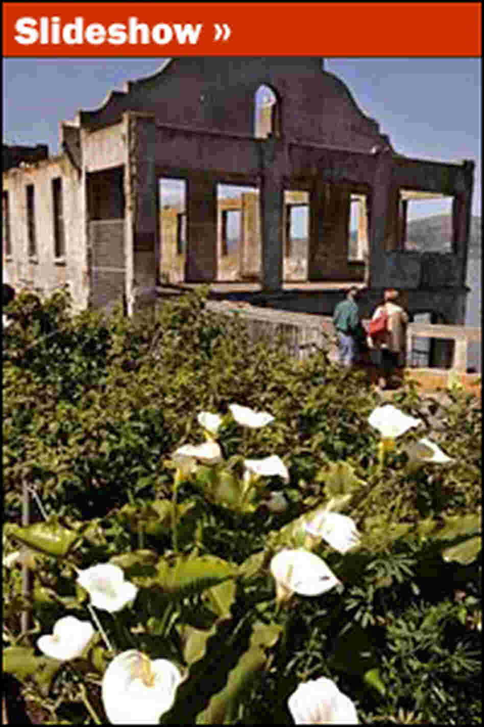 Gardens Gardens