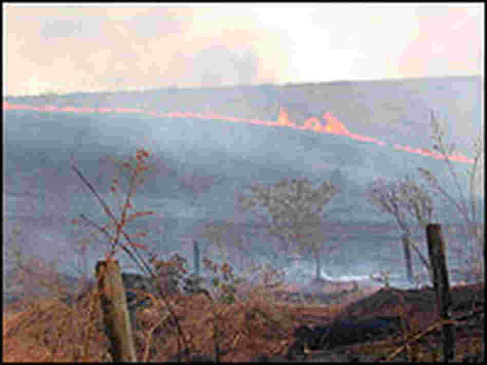 The fire that has been buring on Carter's land for weeks.