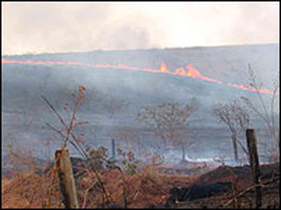 The fire that has been buring on Carter's land for weeks.