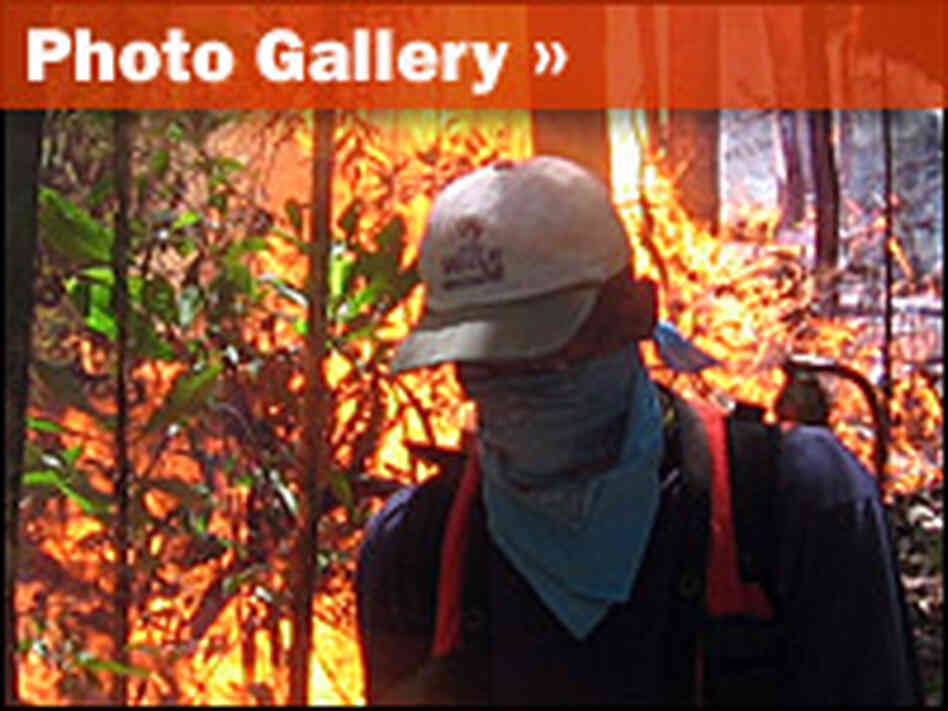 Amazon Burning Slideshow Promo