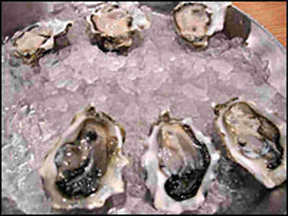 Shucked Penn Cove and Eld Inlet Oysters