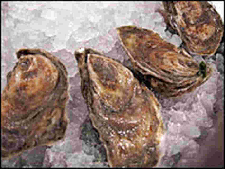 Olde Salts
