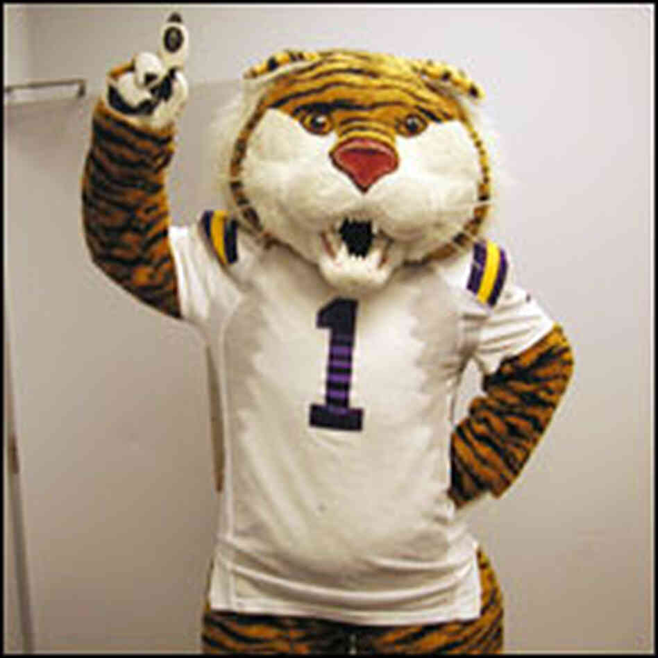 An LSU Tiger mascot An LSU Tiger mascot