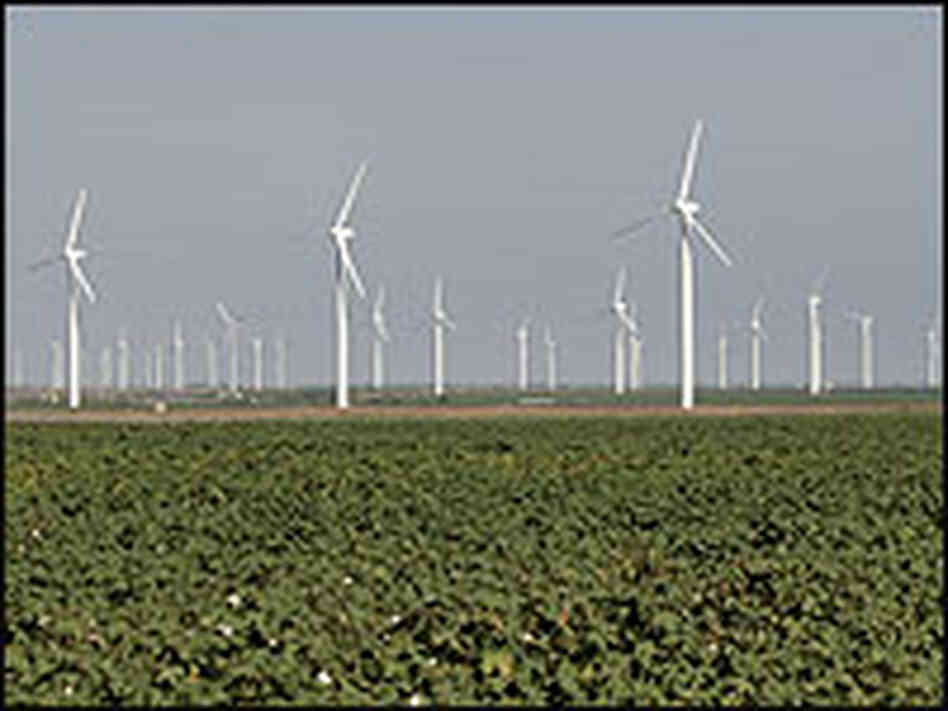 A wind farm near a cotton field. A wind farm near a cotton field.