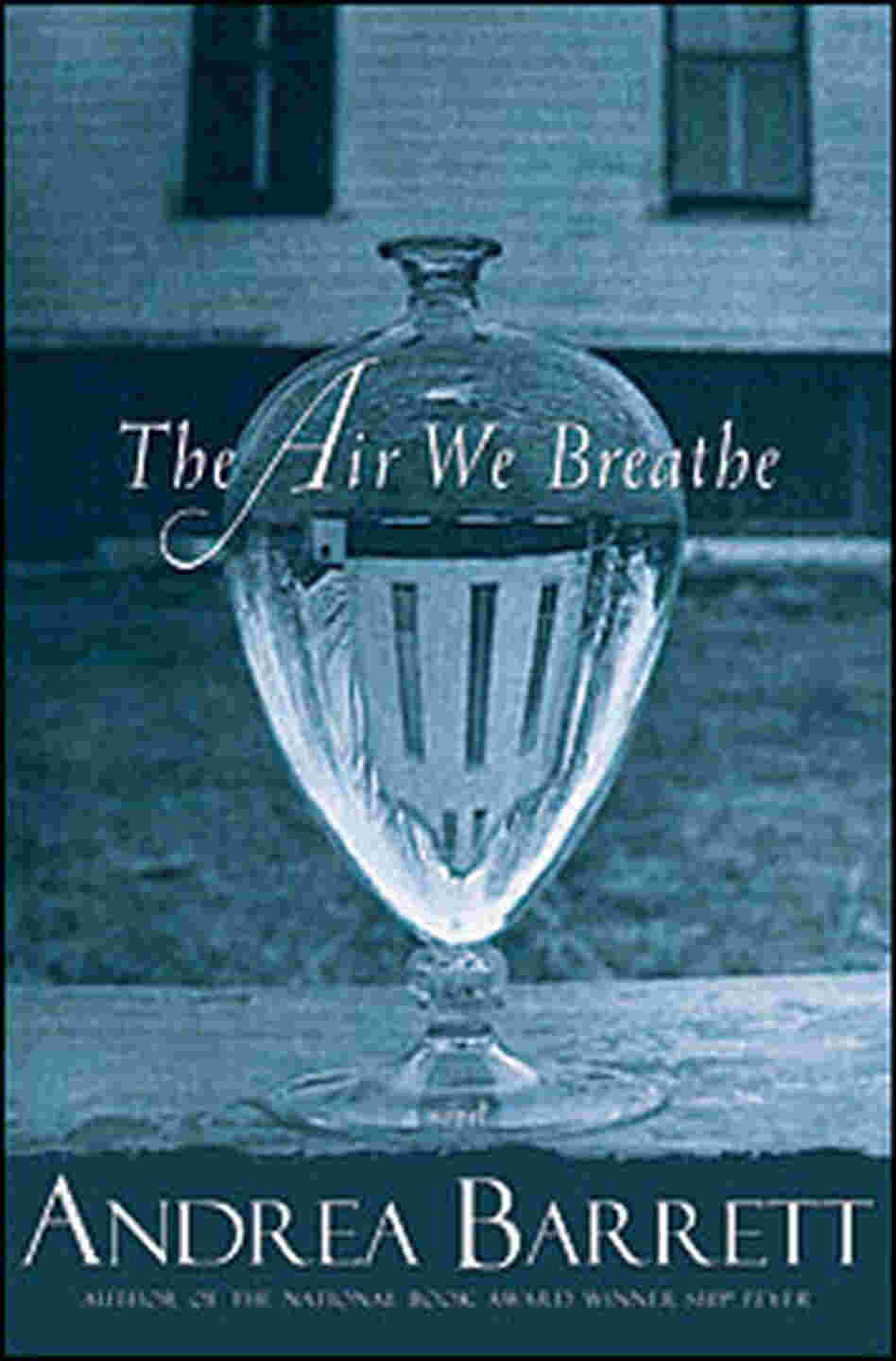 Cover of 'The Air We Breathe' by Andrea Barrett Cover of 'The Air We Breathe' by Andrea Barrett