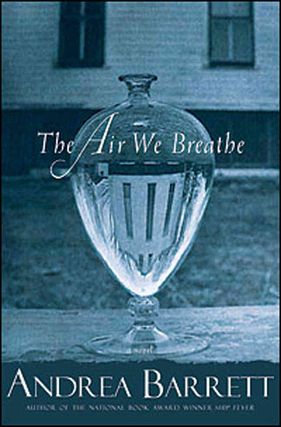Cover of 'The Air We Breathe' by Andrea Barrett Cover of 'The Air We Breathe' by Andrea Barrett
