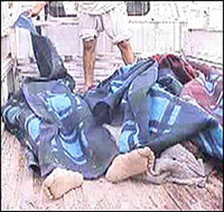 Bodies Wrapped in Cloth