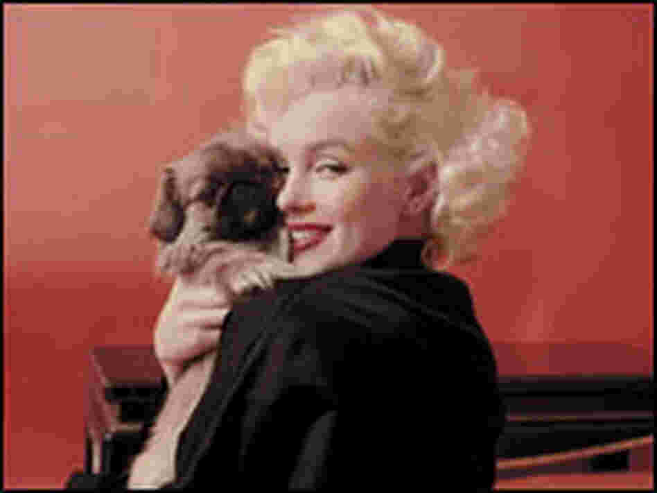 Marilyn Monroe with a puppy.