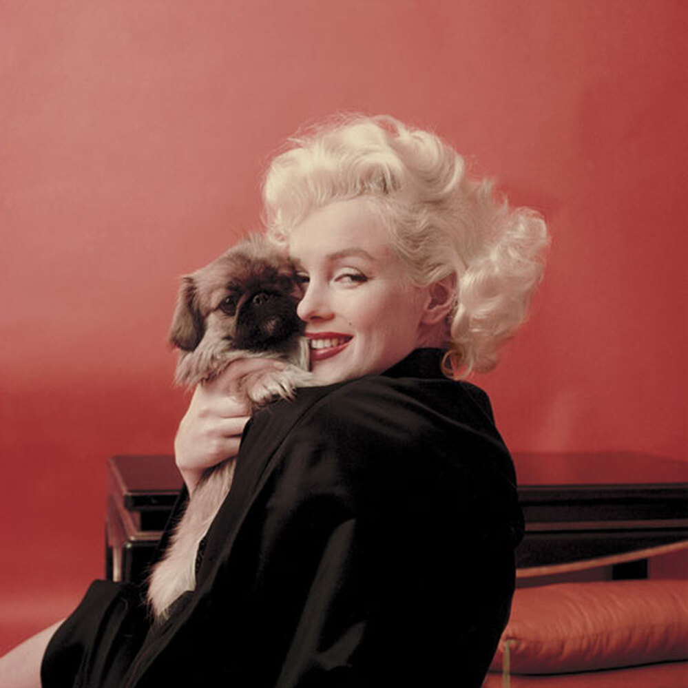 Marilyn Monroe with a puppy.