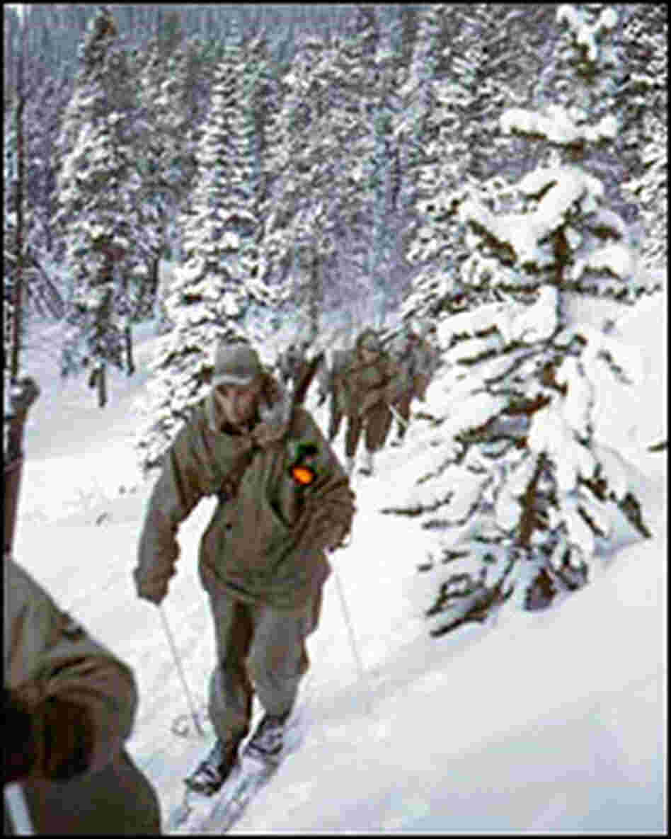 A group of 10th Mountain Division soldiers on skis move uphill over a snowy path near Camp Hale, C