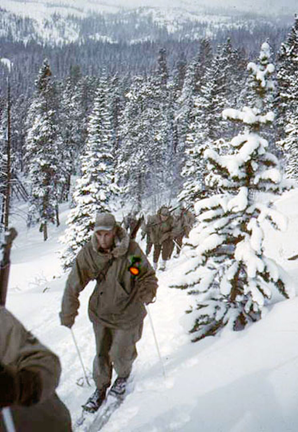 A group of 10th Mountain Division soldiers on skis move uphill over a snowy path near Camp Hale, C
