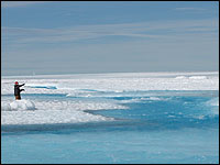 Greenland's Summer Thaw