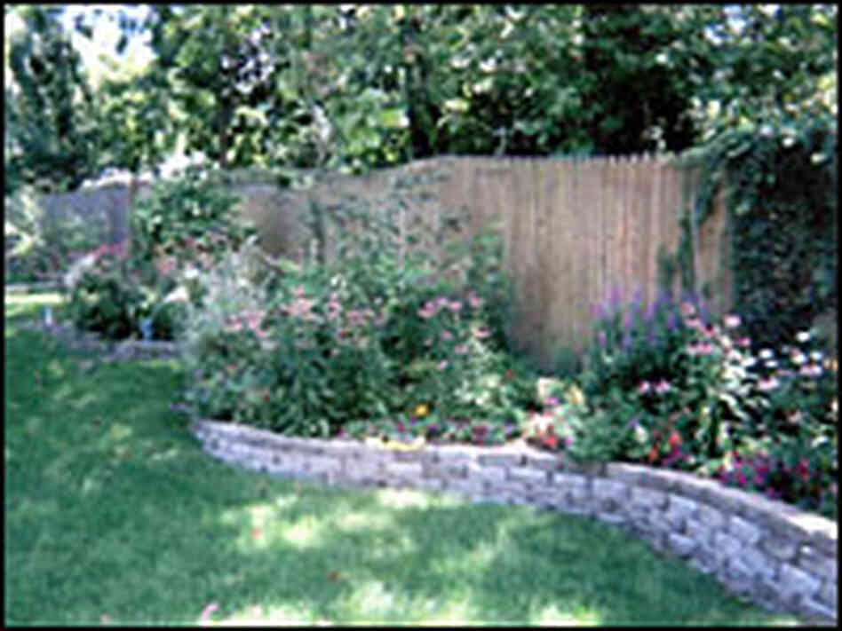 Michele's full garden with the purple loosestrife to the right.