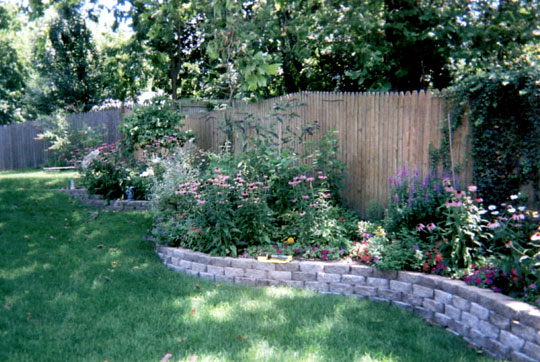 Michele's full garden with the purple loosestrife to the right.