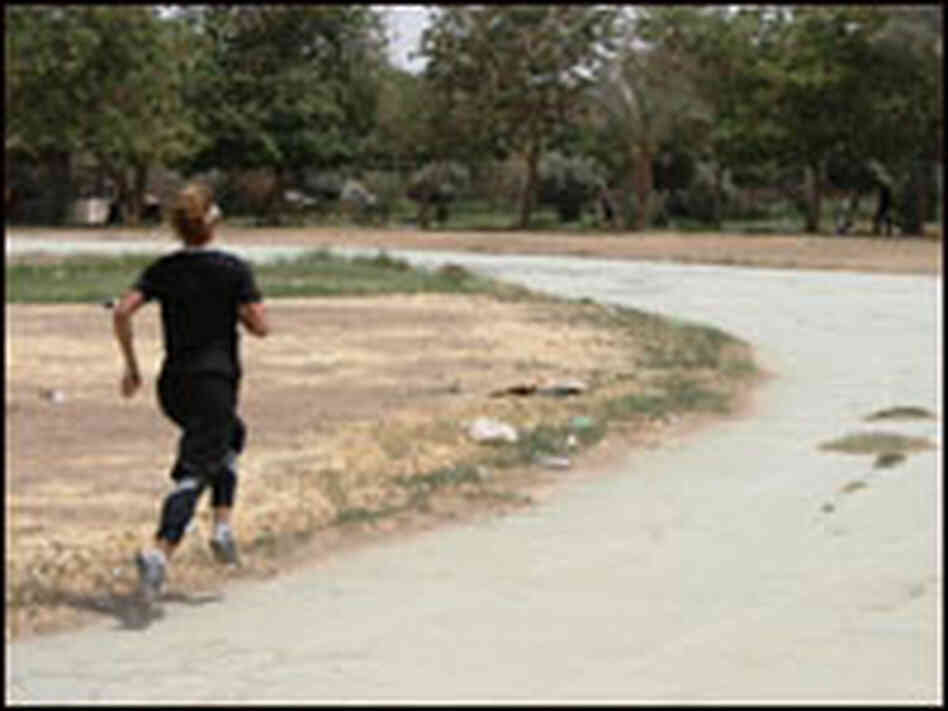 The weed-choked track at Baghdad University.