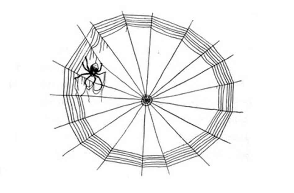 Illustration from Charlotte's Web Illustration from Charlotte's Web