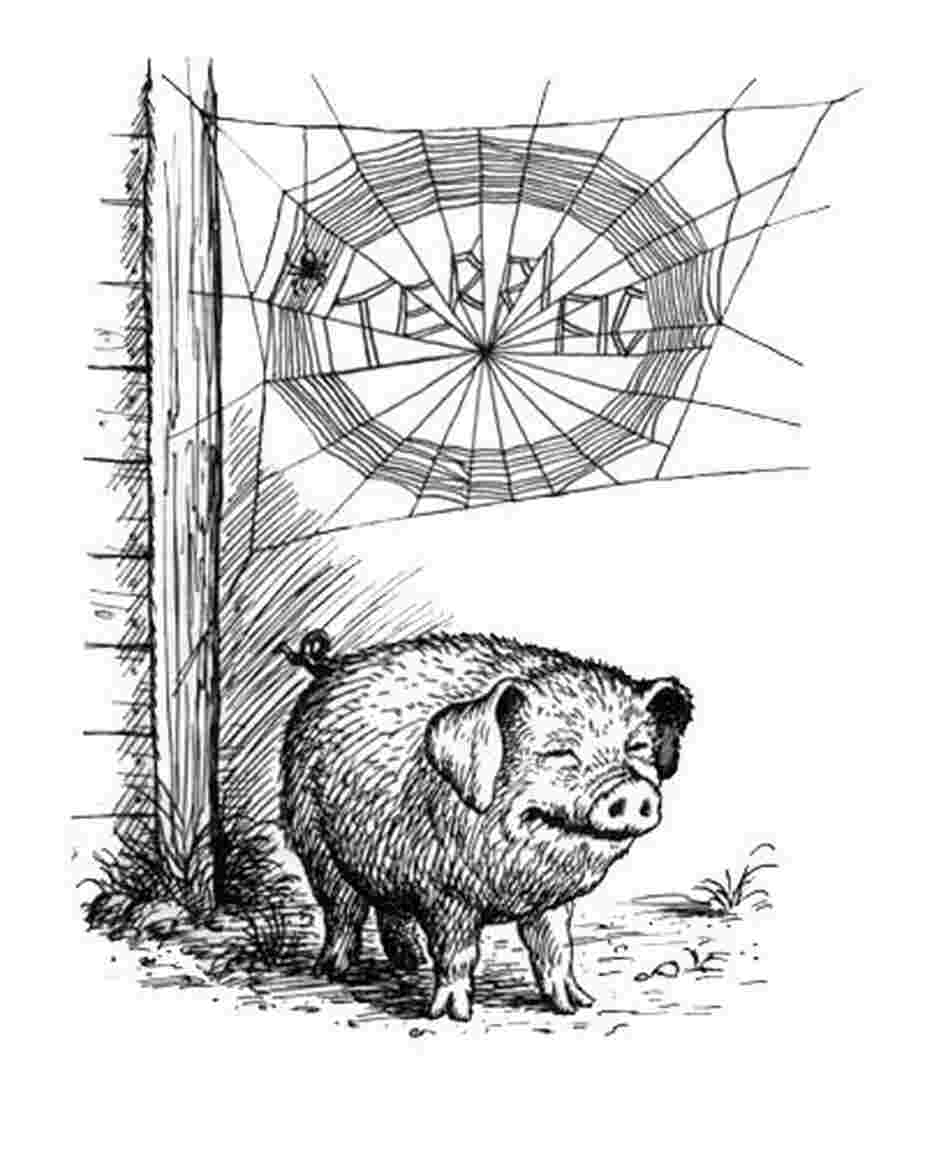 Wilbur the pig: "Terrific" Wilbur the pig: "Terrific"