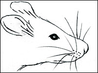 Image...