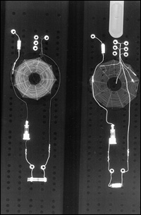 Cribbage x-ray