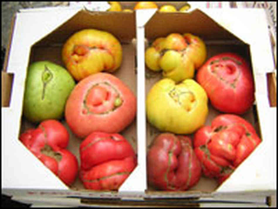 Heirloom tomatoes