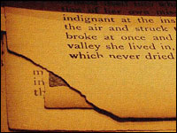 Optical character recognition programs are unable to correctly read distorted text like this.