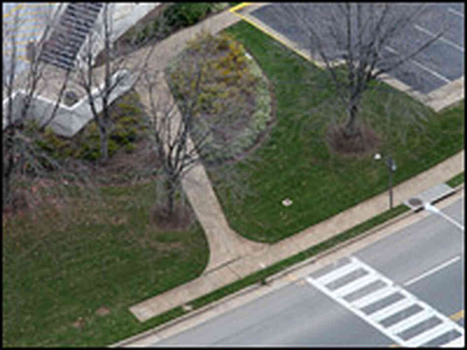 A sidewalk at Tysons Corner in Northern Virginia inexplicably ends.