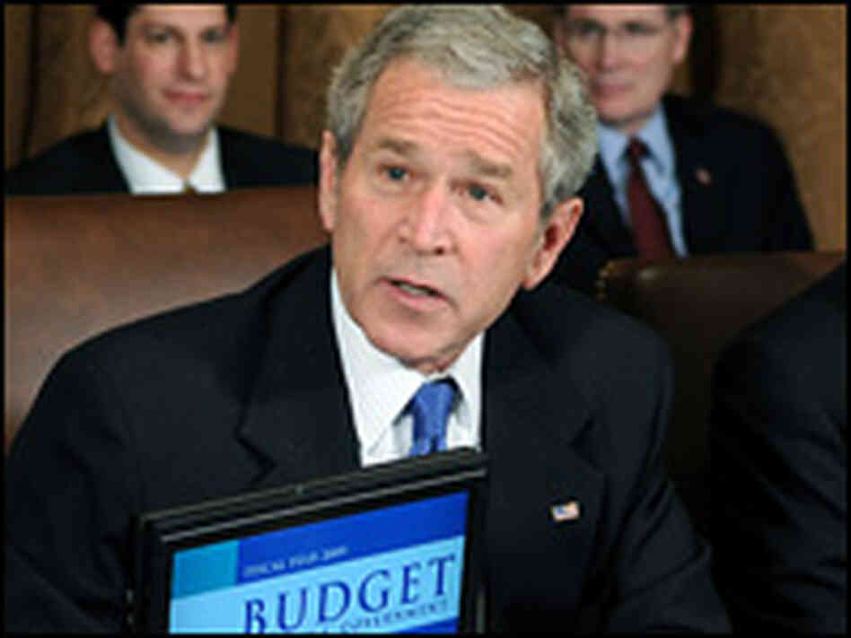 Bush budget