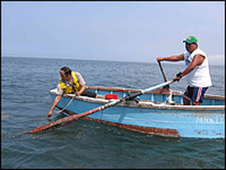 Scientist takes samples off boat Scientist takes samples off boat