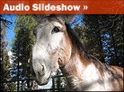 Audio Slideshow: Welcome to Golden Valley Audio Slideshow: Welcome to Golden Valley