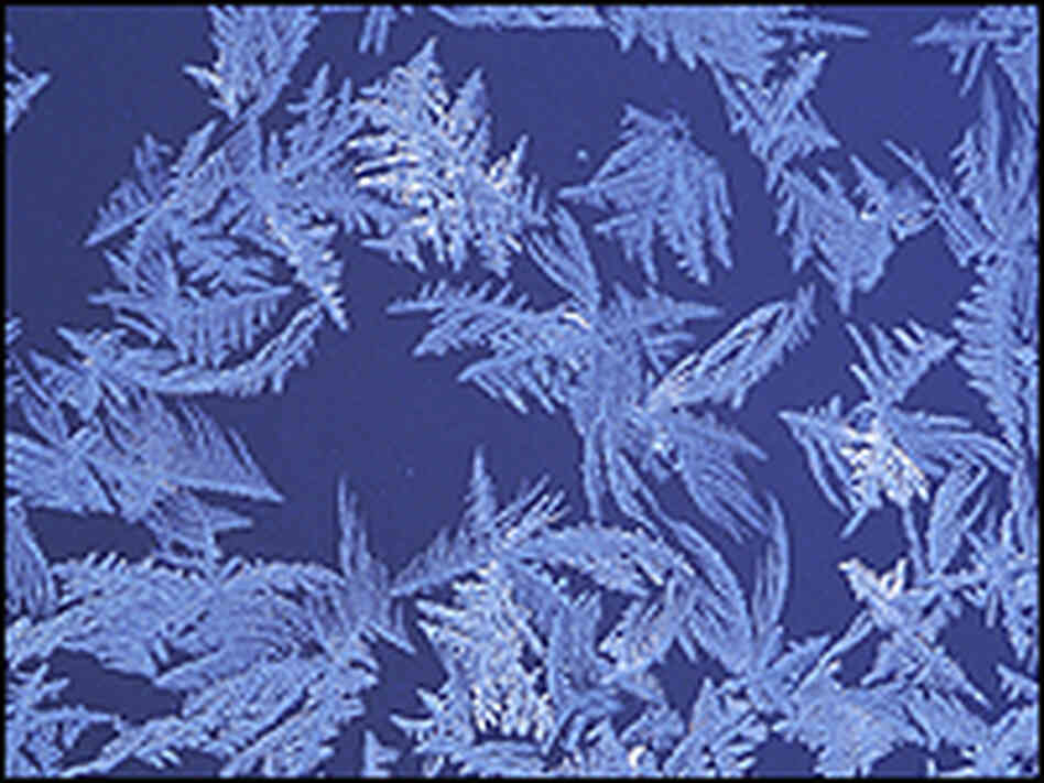 Ice crystals Ice crystals