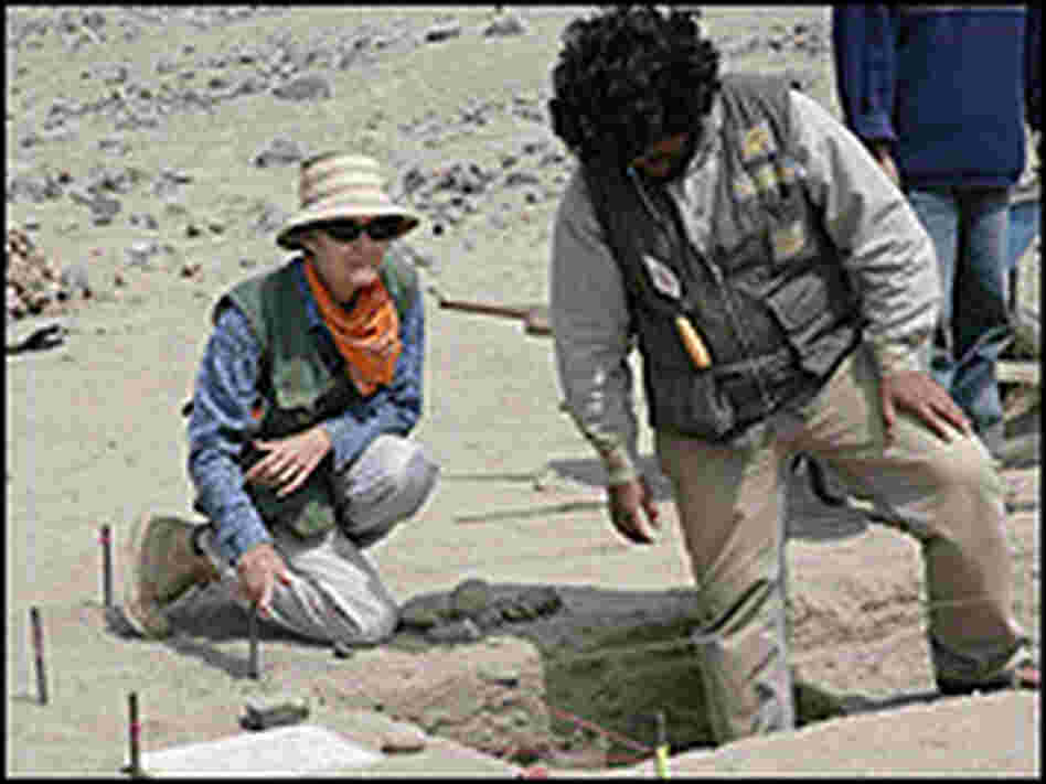 Archaeologist Winifred Creamer works at an excavation in Norte Chico, Peru. Archaeologist Winifred Creamer works at an excavation in Norte Chico, Peru.