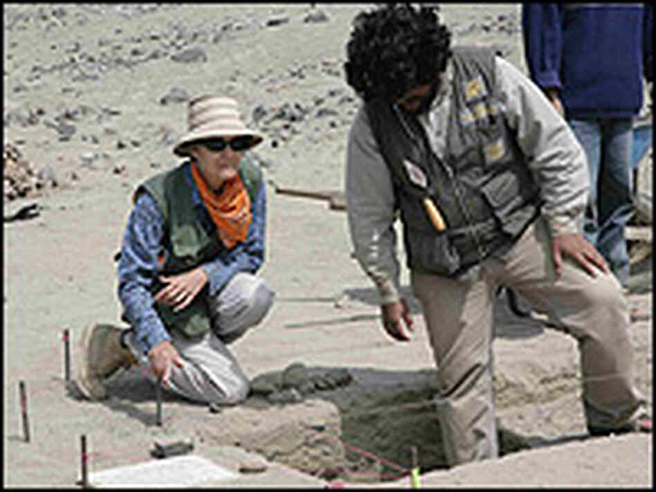 Archaeologist Winifred Creamer works at an excavation in Norte Chico, Peru. Archaeologist Winifred Creamer works at an excavation in Norte Chico, Peru.