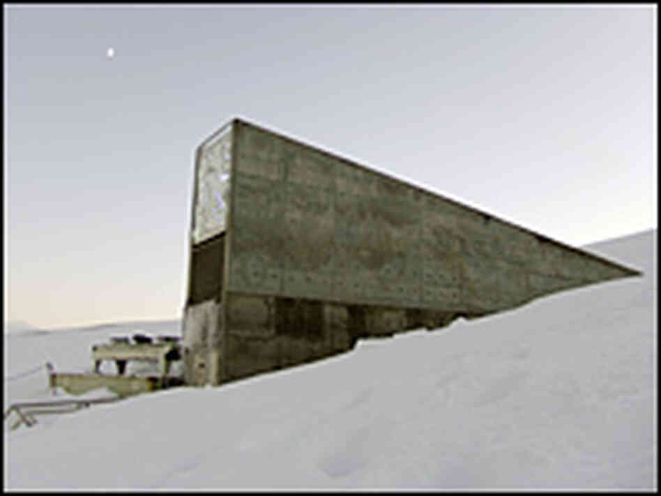 The newly inaugurated Svalbard Global Seed Vault in Norway now holds more than 100 million seeds.