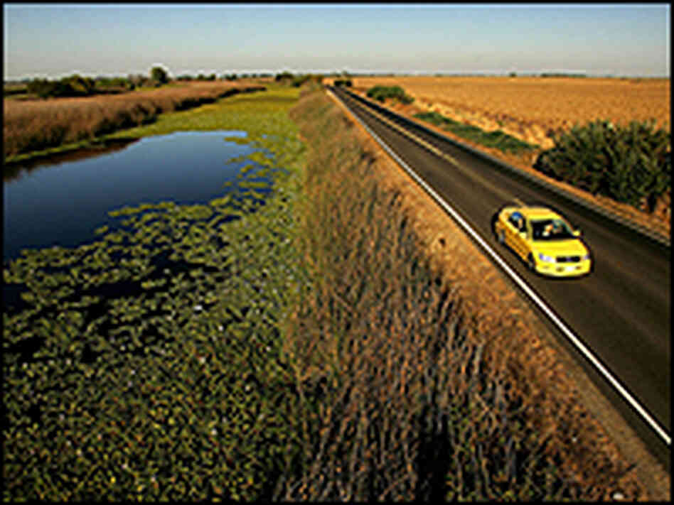 The levee road Highway 4, in California. The levee road Highway 4, in California.