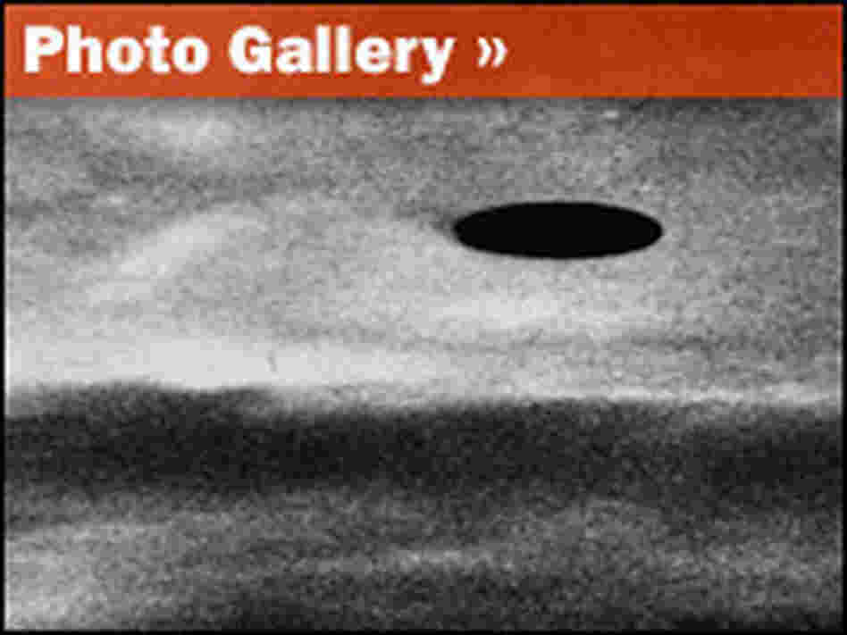 Photo gallery Photo gallery
