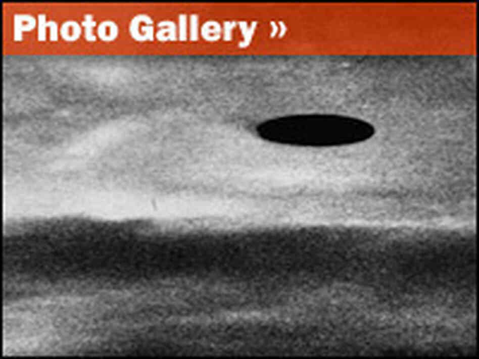 Photo gallery