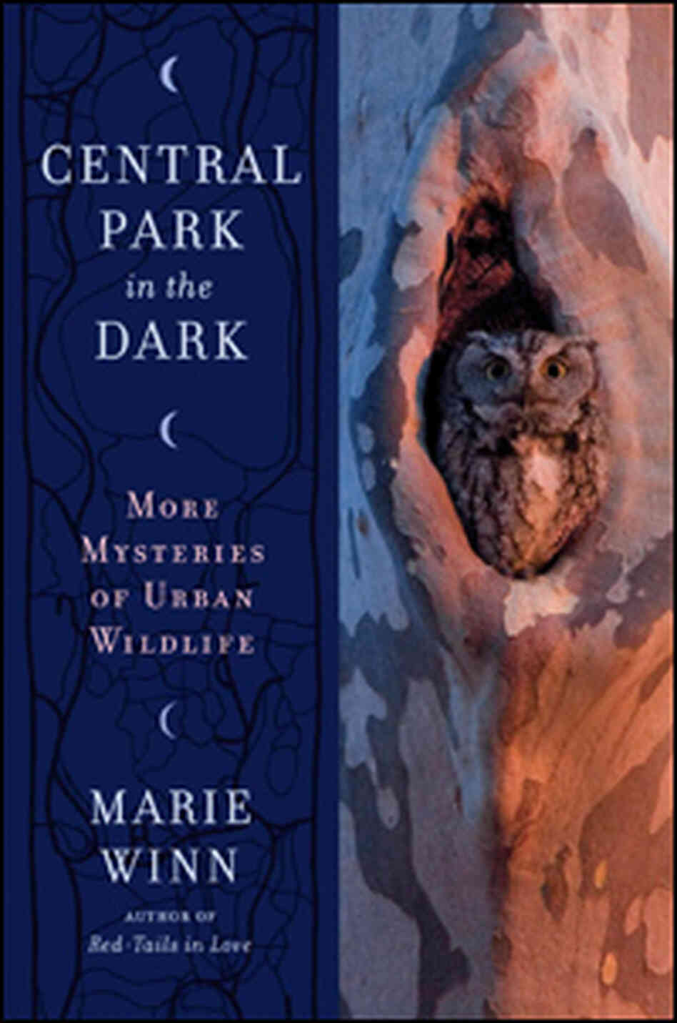 Central Park In The Dark Central Park In The Dark