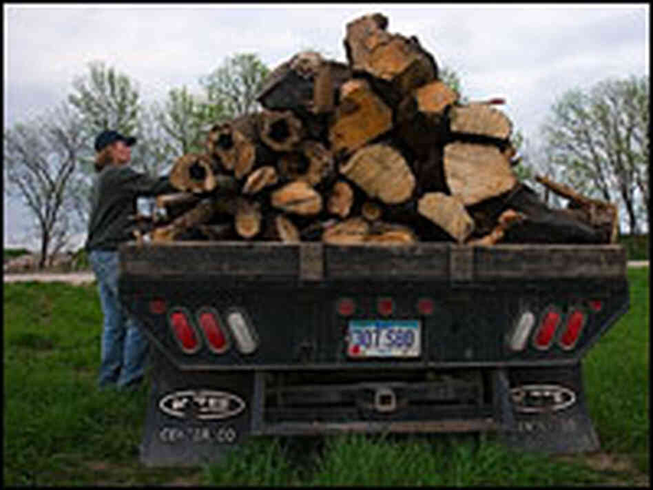 Autumn Ogden loads logs cut from a tree that fell on the Griffieon farm.