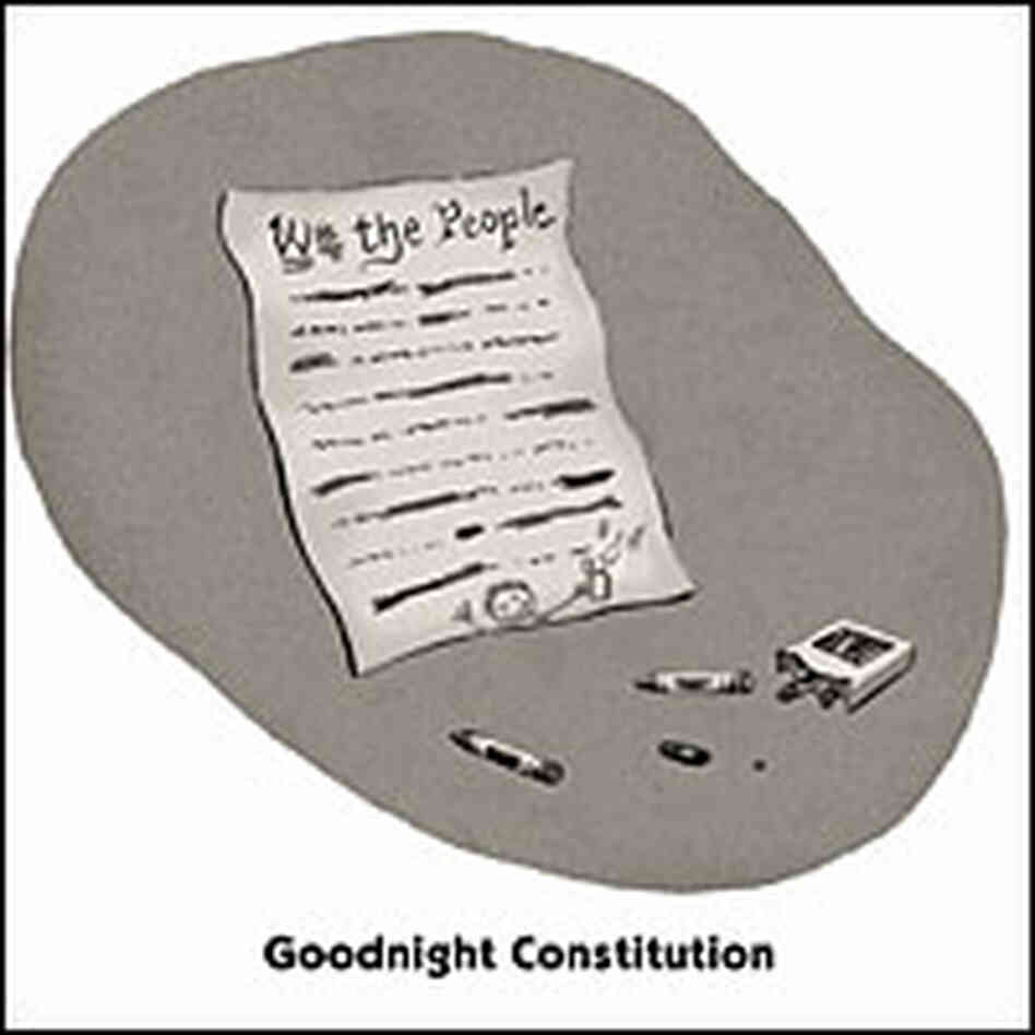 Goodnight Constitution