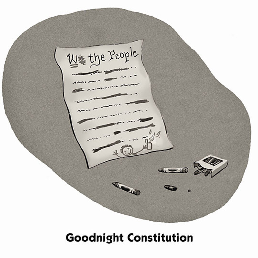 Goodnight Constitution